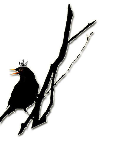 The crowned blackbird on a branch