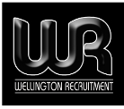 Wellington Recruitment graphic design